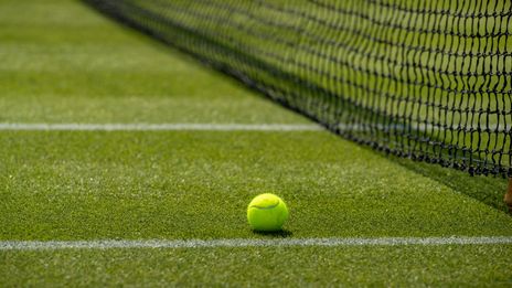 2022 Grass Court generic