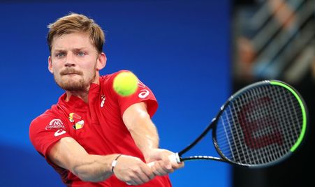 ATP Cup 2020 RR Goffin Dimitrov