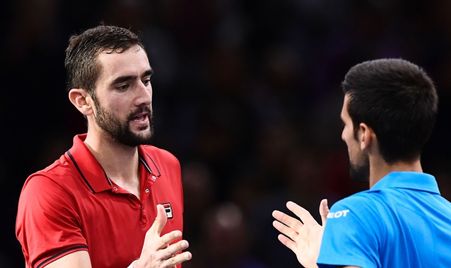 Paris 2016 Quarter-Final Replay Djokovic Cilic