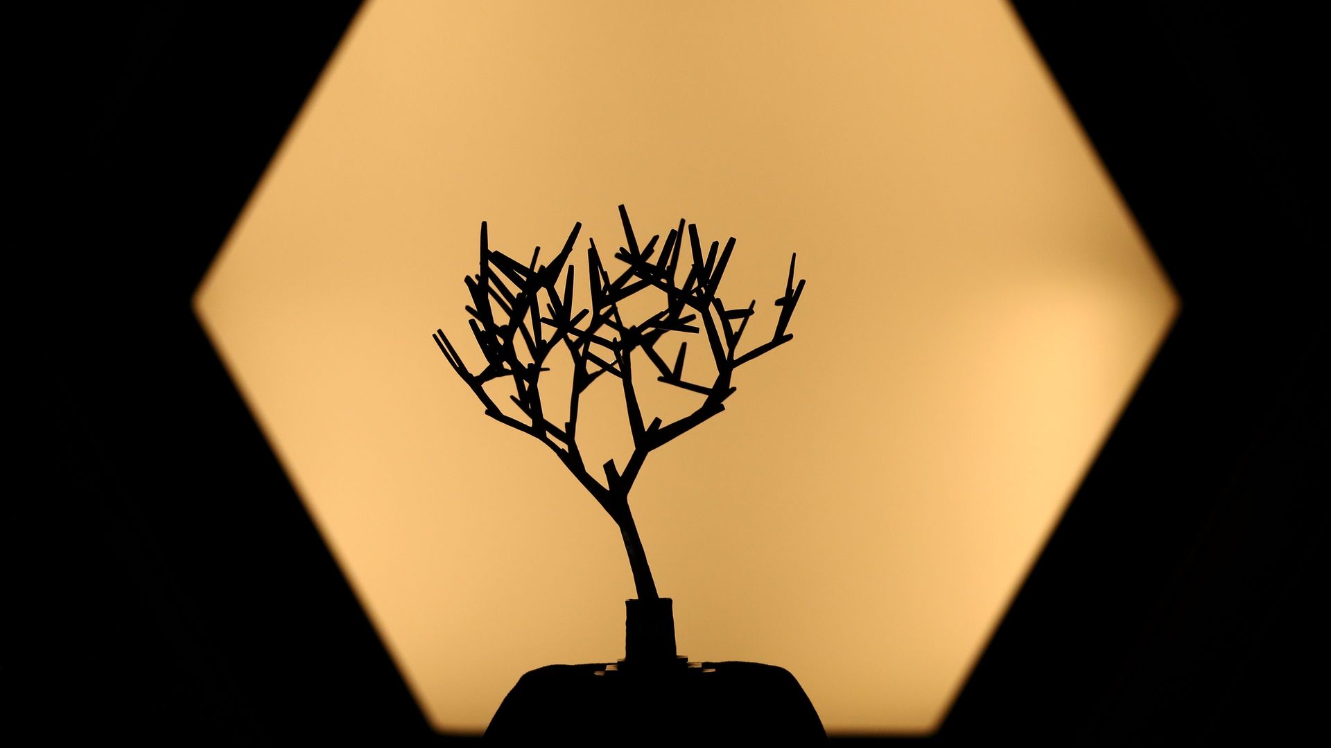 ATP Masters 1000 Paris