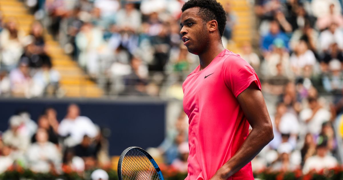 James Duckworth vs Giovanni Mpetshi Perricard Short Highlights