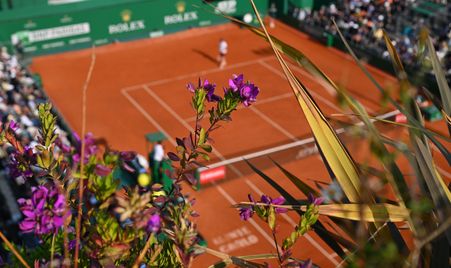 2025 Monte Carlo Generic