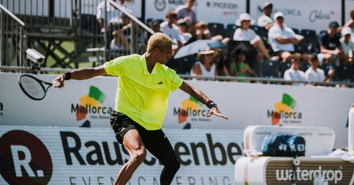 Gabriel Diallo vs Tallon Griekspoor Short Highlights