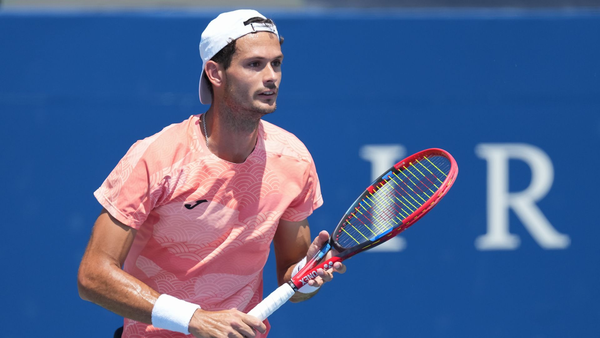 2025 Toronto Ficovich