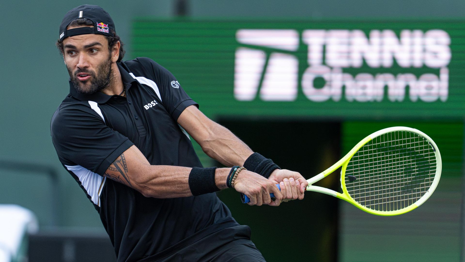 Matteo Berrettini vs Adrian Mannarino Highlights