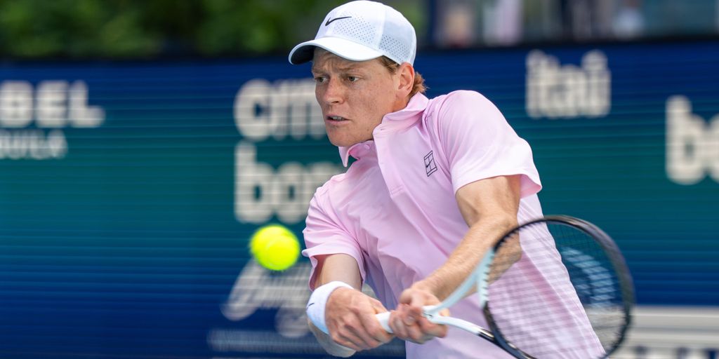 Damir Dzumhur vs Jannik Sinner