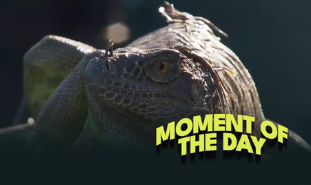 Moment of the Day - 27-03