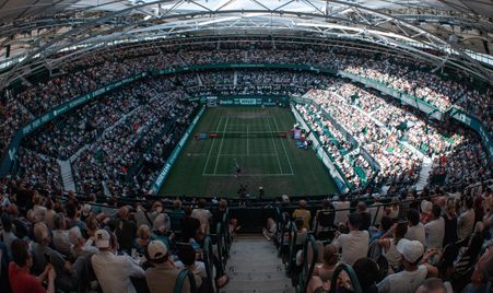 2026 Halle Generic